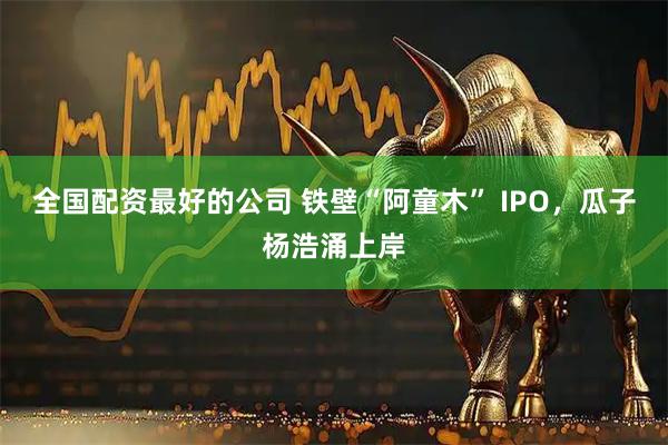 全国配资最好的公司 铁壁“阿童木” IPO，瓜子杨浩涌上岸