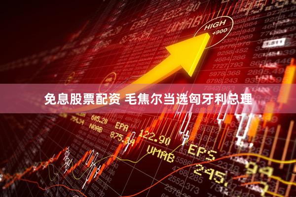 免息股票配资 毛焦尔当选匈牙利总理