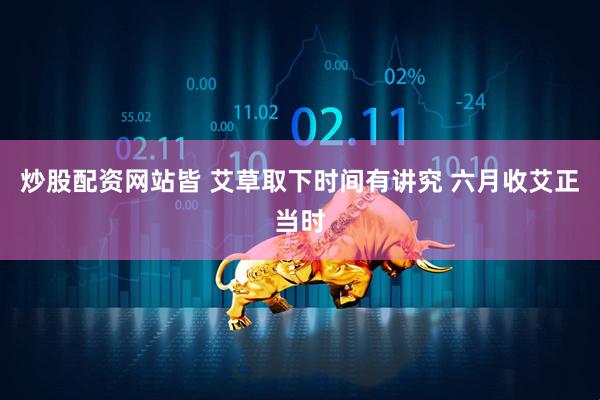 炒股配资网站皆 艾草取下时间有讲究 六月收艾正当时